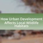 How Urban Development Affects Local Wildlife Habitats
