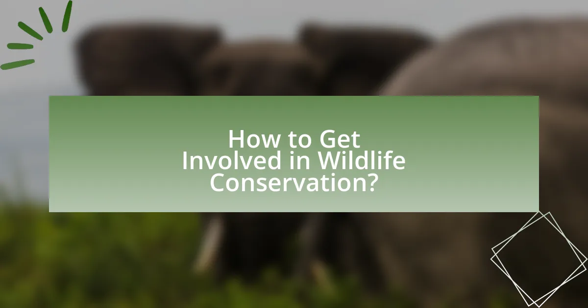 How to Get Involved in Wildlife Conservation?